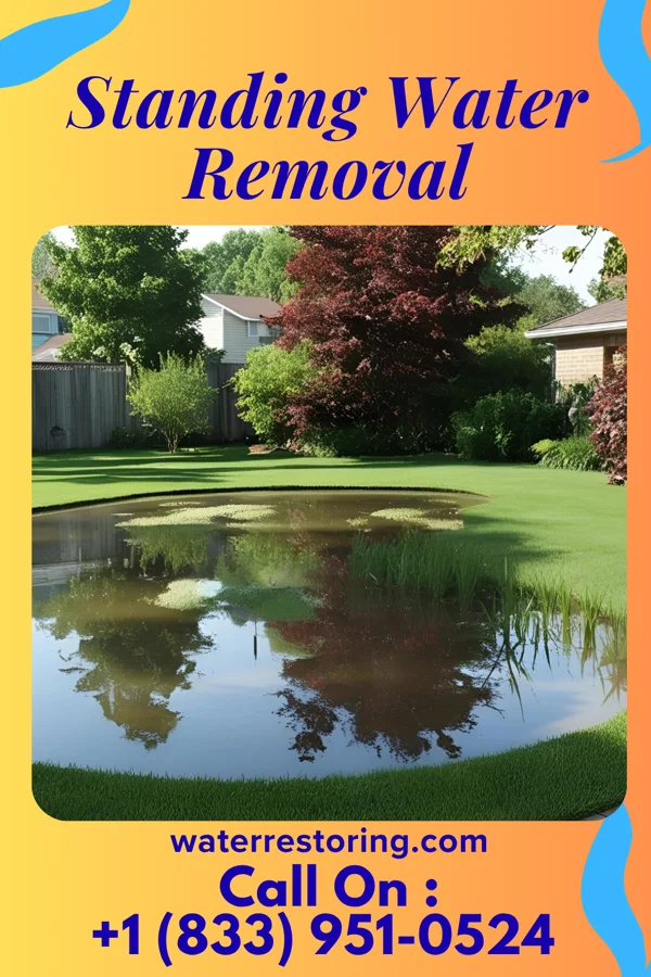 Standing Water Removal in Milltown, WI
